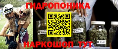 ECSTASY Краснодар
