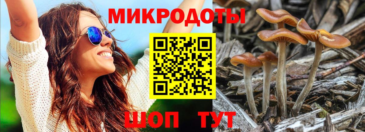 Каменск-Шахтинский  Вход с VPN  ГАШИШ  Экстази  Alpha PVP СОЛЬ   Гашиш  Меф кристаллы  MDMA  Мефедрон  COCAIN  Канабис 
