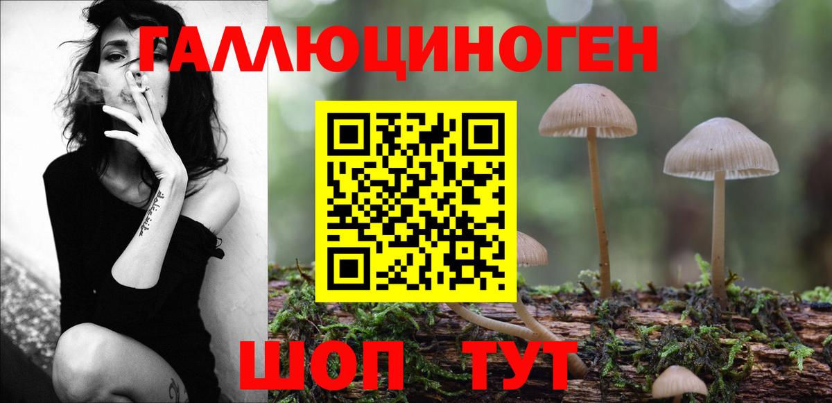 Псилоцибиновые грибы Cubensis Каменск-Шахтинский