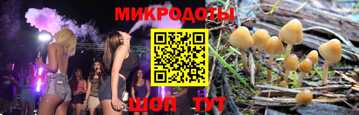 Каменск-Шахтинский  Псилоцибиновые грибы мицелий  Вход с VPN  Псилоцибиновые грибы MAGIC MUSHROOMS 